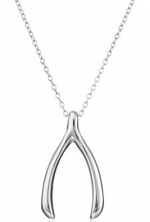 Sterling Silver Wishbone Pendant, 18