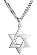 Men's Stainless Steel Necklace with Sterling Silver Star of David Pendant, 24