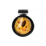 Honey Amber Sterling Silver Circle Pendant