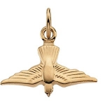 14k Yellow Gold Holy Spirit Pendant 11x14mm - JewelryWeb